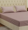 Orange Solid 210 TC Cotton King Sized Bedsheet With 2 Pillow Covers