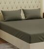 Brown Solid 210 TC Cotton King Sized Bedsheet With 2 Pillow Covers