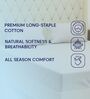 Grey Solid 210 TC Cotton King Sized Bedsheet With 2 Pillow Covers