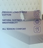 Brown Solid 210 TC Cotton King Sized Bedsheet With 2 Pillow Covers