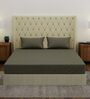 Brown Solid 210 TC Cotton King Sized Bedsheet With 2 Pillow Covers