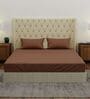 Brown Solid 210 TC Cotton King Sized Bedsheet With 2 Pillow Covers