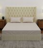 Grey Solid 210 TC Cotton King Sized Bedsheet With 2 Pillow Covers