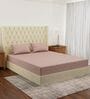 Beige Solid 210 TC Cotton King Sized Bedsheet With 2 Pillow Covers