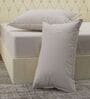 Grey Solid 210 TC Cotton King Sized Bedsheet With 2 Pillow Covers