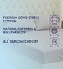 Beige Solid 210 TC Cotton King Sized Bedsheet With 2 Pillow Covers