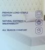 Orange Solid 210 TC Cotton King Sized Bedsheet With 2 Pillow Covers
