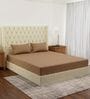 Beige Solid 210 TC Cotton King Sized Bedsheet With 2 Pillow Covers
