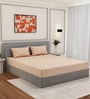Beige Floral 200 TC Cotton King Sized Bedsheet With 2 Pillow Covers