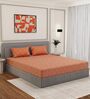 Orange Seahorse 200 TC Cotton King Sized Bedsheet With 2 Pillow Covers