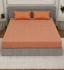 Orange Seahorse 200 TC Cotton King Sized Bedsheet With 2 Pillow Covers