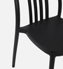 Classy Fiber Cafe Chair in Black Colour