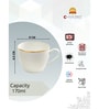 Clay Craft Fine Ceramic Cream Fiesta Cup & Saucer Set of 12 (6 Cups + 6 Saucer) -170 ml each