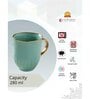 Clay Craft Fine Ceramic Topaz Em Green Milk Mug 1 Piece -280 ml