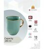 Clay Craft Fine Ceramic Topaz Em Green Milk Mug 2 Piece -280 ml