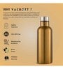 Clay Craft Vacbott Melissa SS Lid Single Walled Non Insulated Water Bottle, 1100 ml (Gold) Steel Water Bottles for School, Office, Home, Gym, Water Bottle for Men Leakproof, Rust free Steel Bottle