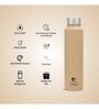 Clay Craft Vacbott Tetra SS Lid Single Walled Non Insulated Water Bottle, 500 ml (Beige) Steel Water Bottles for School, Office, Home, Gym, Water Bottle for Men Leakproof, Rust free Steel Bottle