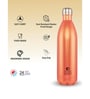 Clay Craft Vacbott Vaccum Bottle, Fiesta Ruby Double Walled Combo Set 24 Hr Hot and Cold Water Bottle Set of 2 (500ml, 1000ml) Steel Water Bottles for School, Office, Home, Gym, Leakproof, Rust Free
