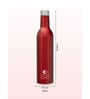 Clay Craft Vacbott Vaccum Bottle, Ivy Wine Insulated Double Walled 24 Hours Hot and Cold Water Bottle