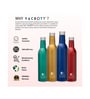 Clay Craft Vacbott Vaccum Bottle, Ivy Wine Insulated Double Walled 24 Hours Hot and Cold Water Bottle