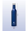 Clay Craft Vacbott Vaccum Bottle, Ivy Wine Insulated Double Walled 24 Hours Hot and Cold Water Bottle