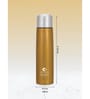 Clay Craft Vacbott Vaccum Bottle, Terra Double Walled 24 Hours Hot and Cold Water Bottle, 1000ml (Gold) Steel Water Bottles for School, Office, Home, Gym, Leakproof, Rust Free Steel Bottle