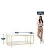 Clayton Coffee Table In Gold Finish