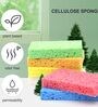 Assorted Cleaning Scrub Sponge (Pack of 2)