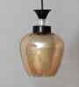 Clear Amber Glass Hanging Lamp With Black Finish