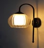 Clear Downward Globe Black Wall Lamp