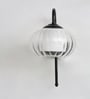 Clear Downward Globe Black Wall Lamp