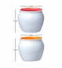 Contemporary Glass Coffee Mug (Set of 6)