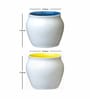 Contemporary Glass Coffee Mug (Set of 6)