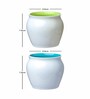 Contemporary Glass Coffee Mug (Set of 6)