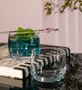 Classy Glass Whiskey Glasses (Set of 6)