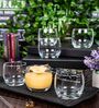 Slender Glass Whiskey Glasses (Set of 6)