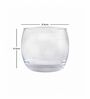 Slender Glass Whiskey Glasses (Set of 6)