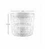 Slender Glass Whiskey Glasses (Set of 6)
