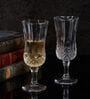 Slender Glass Wine Glasses (Set of 6)
