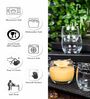 Slender Glass Whiskey Glasses (Set of 6)