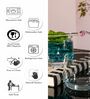 Classy Glass Whiskey Glasses (Set of 6)