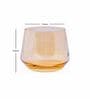Classy Glass (Set of 6) Everyday Glasses