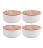 Versatile Glass Storage Container (Set of 4)