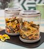Versatile Glass Storage Container (Set of 2)