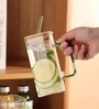 Clear Glass Sipper Cup with Bamboo Lid, Glass Straw & Handle (450 ml)