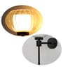 Clear Kharbuja Glass Black Wall Lamp