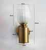 Clear Tulip Glass Brass Wall Mounting Light