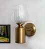 Clear Tulip Glass Brass Wall Mounting Light