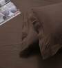 Brown Solid 200 TC 100% Cotton King Sized Bed Sheets with 2 Pillow Covers