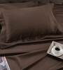 Brown Solid 200 TC 100% Cotton King Sized Bed Sheets with 2 Pillow Covers